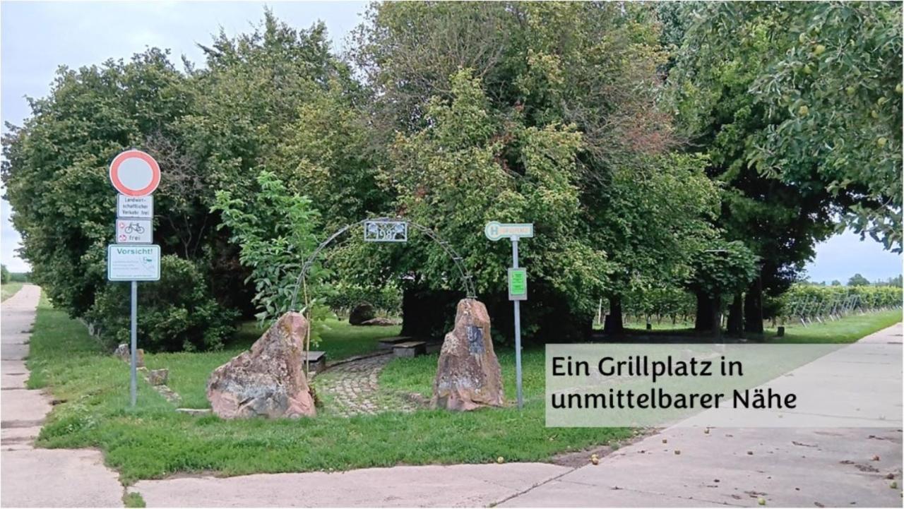 Haus Gerda Διαμέρισμα Neustadt an der Weinstraße Εξωτερικό φωτογραφία